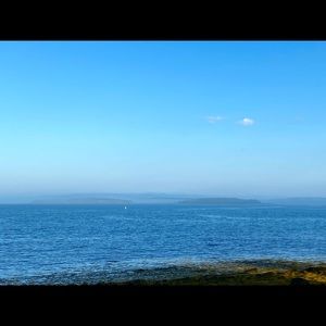 Meet your Posher, Marion